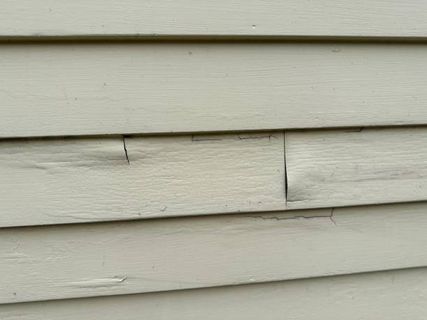 Best Vinyl Siding Installation  in Roosevelt, NJ